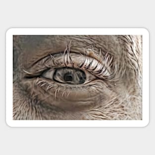 Squinting Furry Eye of Lunacy Sticker